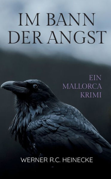 Im Bann Der Angst (German Edition) - 9783741208140