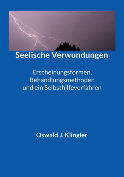 Seelische Verwundungen: Erscheinungsformen, Behandlungsmethoden Und Ein Selbsthilfeverfahren (German Edition)