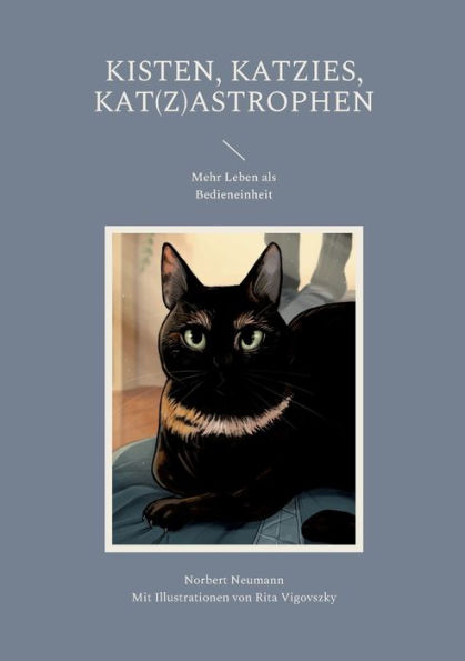 Kisten, Katzies, Kat(Z)Astrophen: Mehr Leben Als Bedieneinheit (German Edition)