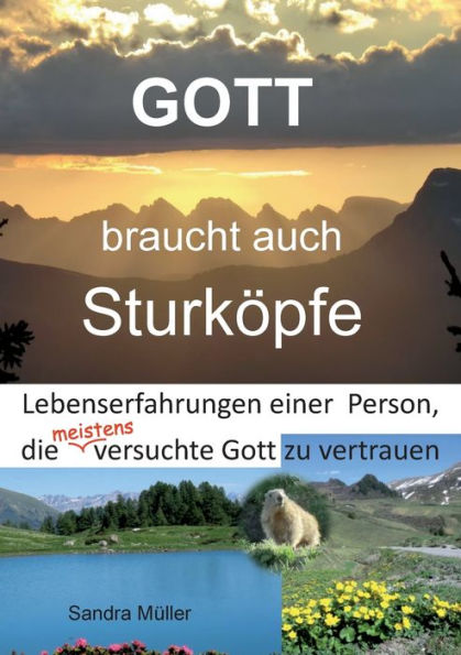 Gott Braucht Auch Sturköpfe: Lebenserfahrungen Einer Person, Die Meistens Versuchte Gott Zu Vertrauen (German Edition)