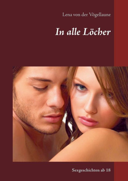 In Alle Löcher: Sexgeschichten Ab 18 (German Edition)