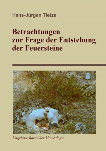 Betrachtungen Zur Frage Der Entstehung Der Feuersteine (German Edition)