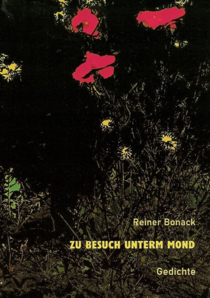 Zu Besuch Unterm Mond: Gedichte (German Edition)