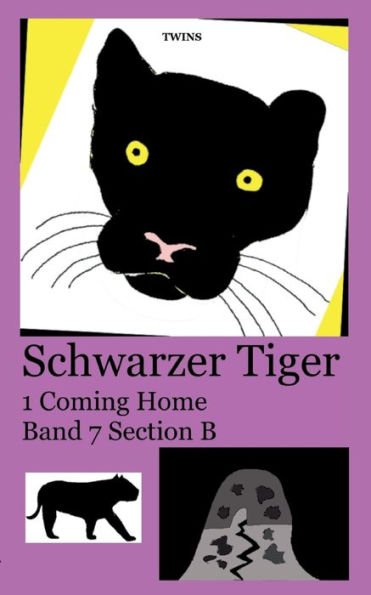 Schwarzer Tiger 1 Coming Home: Band 7 Section B (German Edition)