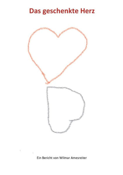 Das Geschenkte Herz: Ein Bericht Von Wilmar Amesreiter (German Edition)