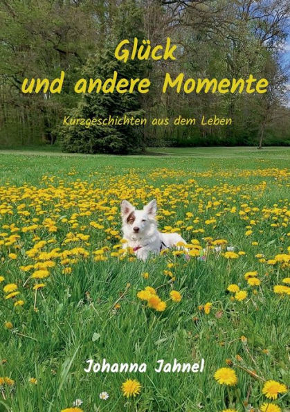 Glück Und Andere Momente: Kurzgeschichten Aus Dem Leben (German Edition)