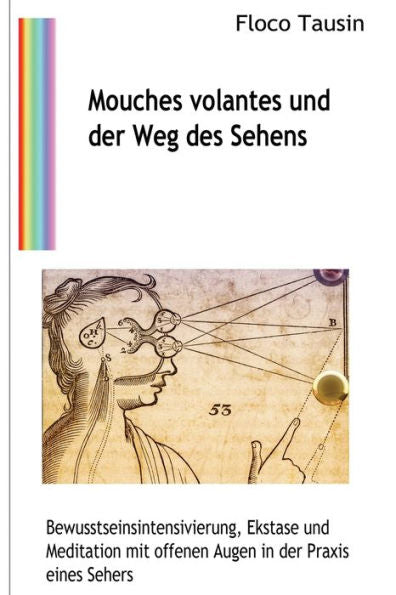 Mouches Volantes Und Der Weg Des Sehens: Bewusstseinsintensivierung, Ekstase Und Meditation Mit Offenen Augen In Der Praxis Eines Sehers (German Edition) - 9783907400319