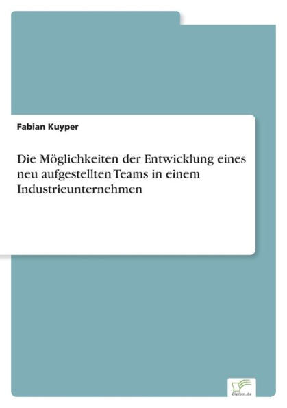Die Möglichkeiten Der Entwicklung Eines Neu Aufgestellten Teams In Einem Industrieunternehmen (German Edition) - 9783961169771