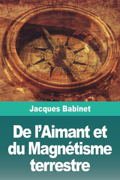 De L'Aimant Et Du Magnetisme Terrestre (French Edition)