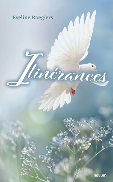 Itinerances (French Edition)