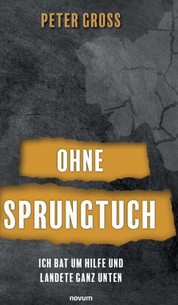 Ohne Sprungtuch: Ich Bat Um Hilfe Und Landete Ganz Unten (German Edition)