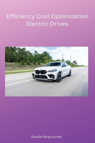 Efficiency Cost Optimization Electric Drives - 9784180057344