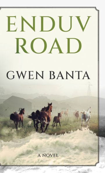 Enduv Road - 9784824174901