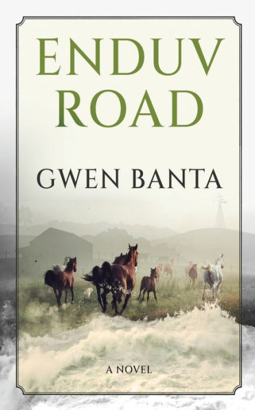 Enduv Road - 9784824174925