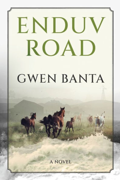 Enduv Road - 9784824174949