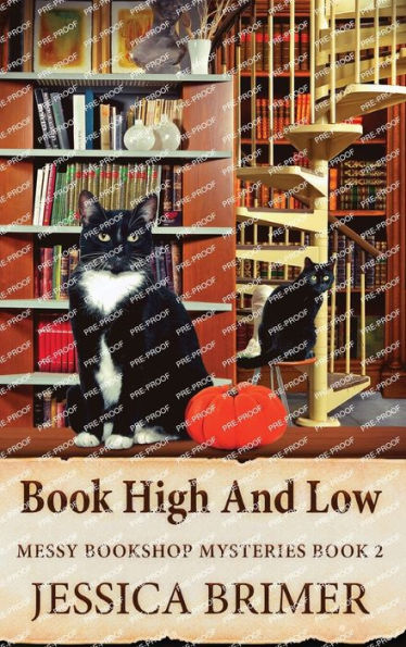 Book High And Low (Messy Bookshop Mysteries)